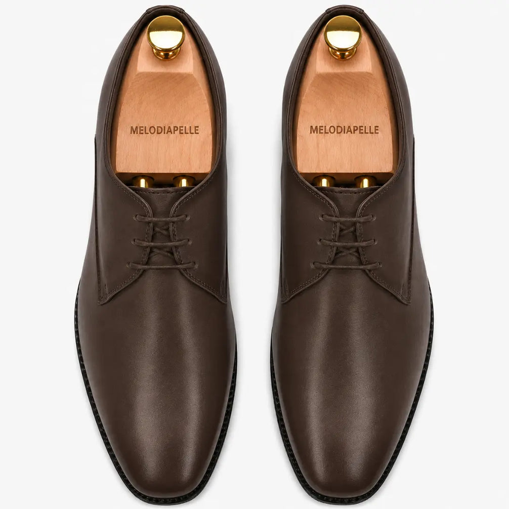 Melodiapelle Mangrove Plain Derby in brown leather, pair top-down view, handcrafted in Agra