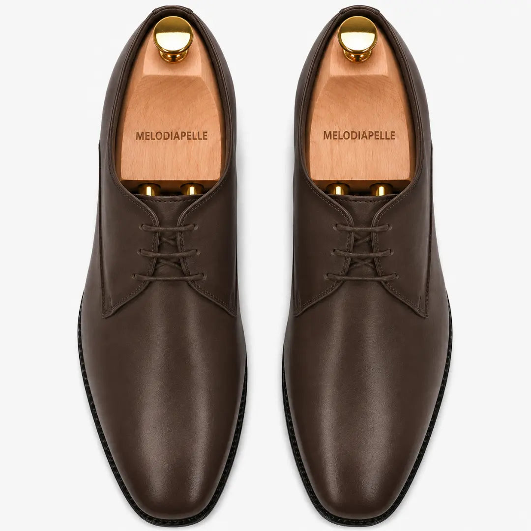 Melodiapelle Mangrove Plain Derby in brown leather, pair top-down view, handcrafted in Agra