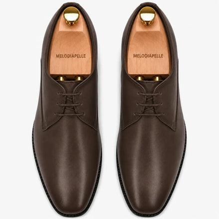Melodiapelle Mangrove Plain Derby in brown leather, pair top-down view, handcrafted in Agra