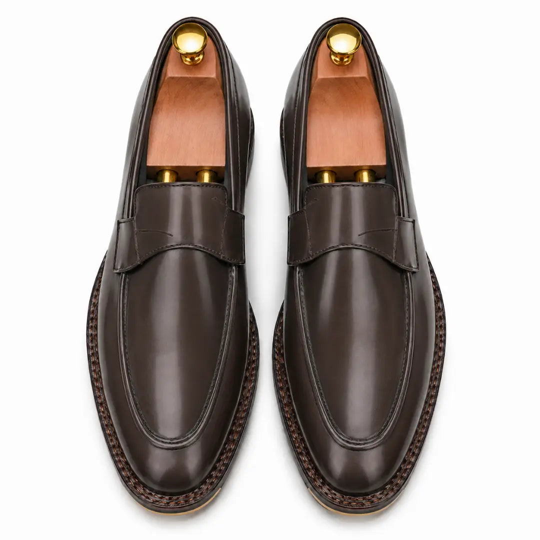Melodiapelle Marquis Dress Penny Loafer in brown leather, pair top-down view, handcrafted in Agra