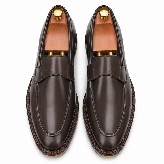 Melodiapelle Marquis Dress Penny Loafer in brown leather, pair top-down view, handcrafted in Agra