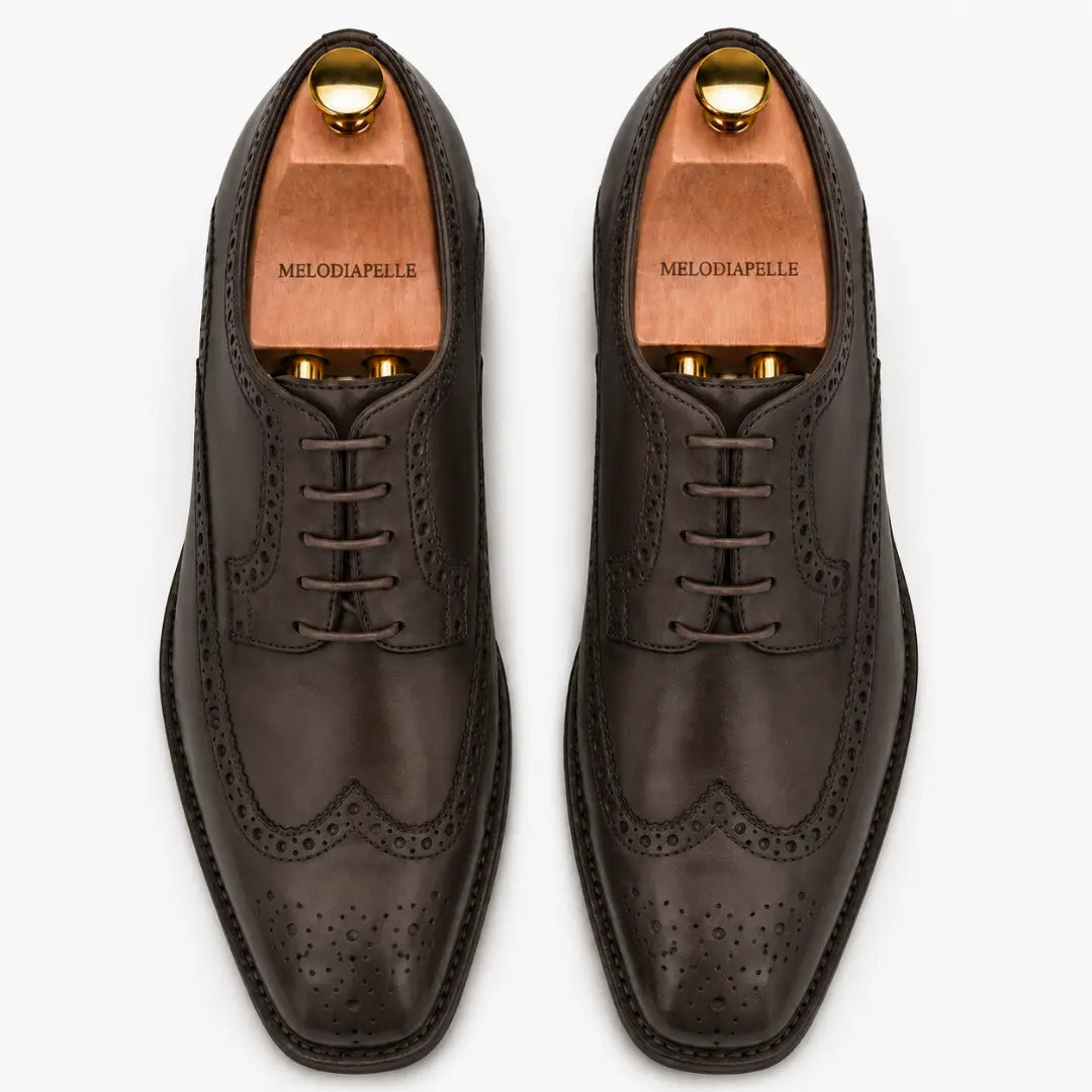Melodiapelle Marshfield Wingtip Brogue Oxford in brown leather, pair top-down view, handcrafted in Agra