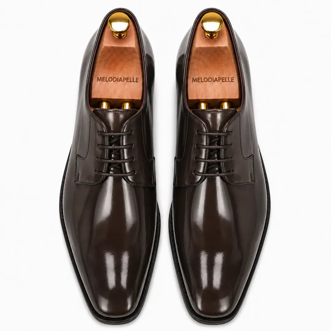 Melodiapelle Matera Plain-Toe Derby in brown leather, pair top-down view, handcrafted in Agra