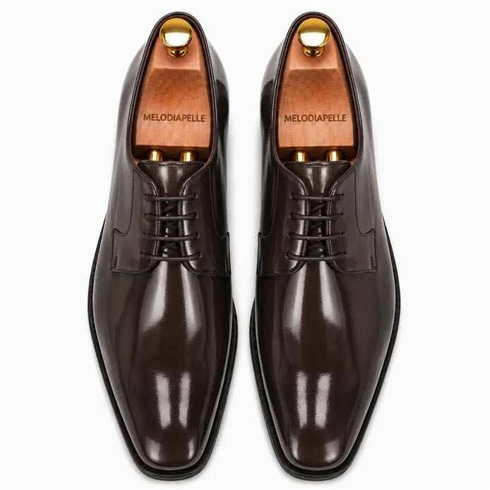 Melodiapelle Matera Plain-Toe Derby in brown leather, pair top-down view, handcrafted in Agra