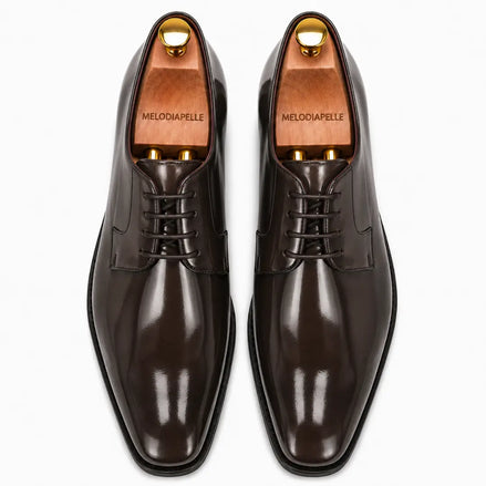 Melodiapelle Matera Plain-Toe Derby in brown leather, pair top-down view, handcrafted in Agra