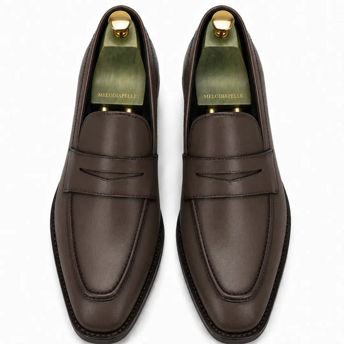 Melodiapelle Maximus Dress Penny Loafer in brown leather, pair top-down view, handcrafted in Agra