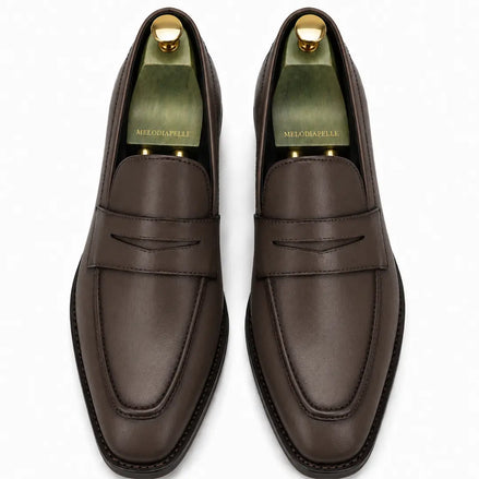 Melodiapelle Maximus Dress Penny Loafer in brown leather, pair top-down view, handcrafted in Agra