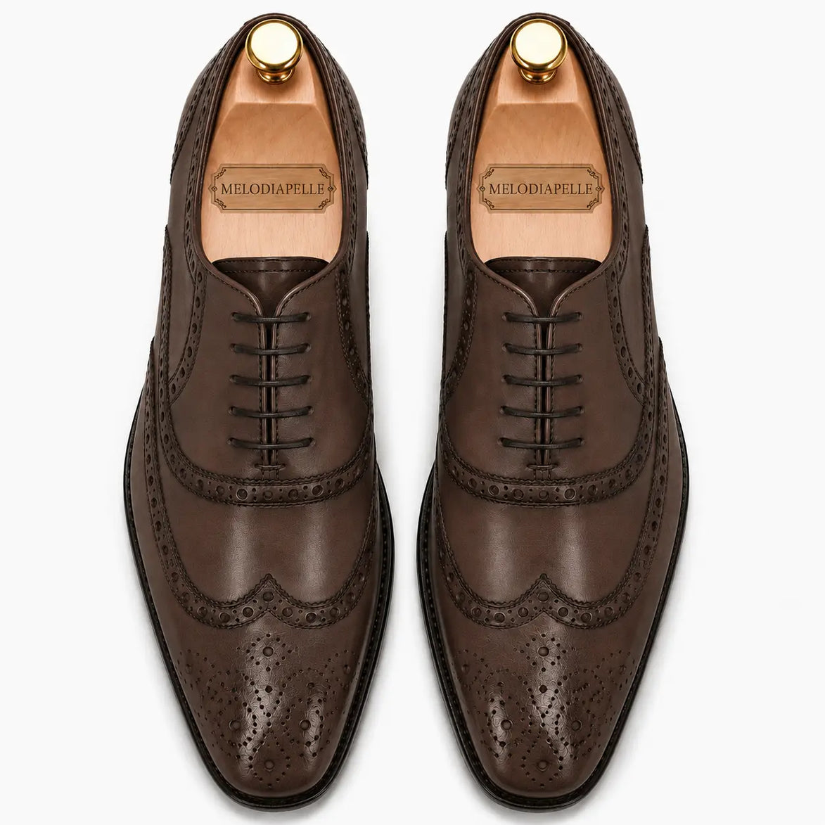 Melodiapelle Mazaro Wingtip Brogue Oxford in dark brown leather, pair top-down view, handcrafted in Agra