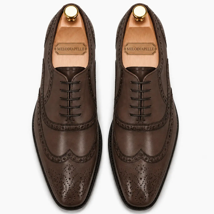 Melodiapelle Mazaro Wingtip Brogue Oxford in dark brown leather, pair top-down view, handcrafted in Agra