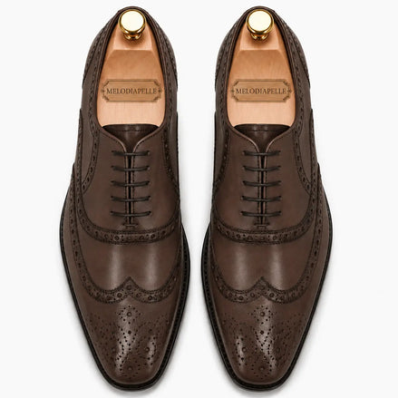 Melodiapelle Mazaro Wingtip Brogue Oxford in dark brown leather, pair top-down view, handcrafted in Agra
