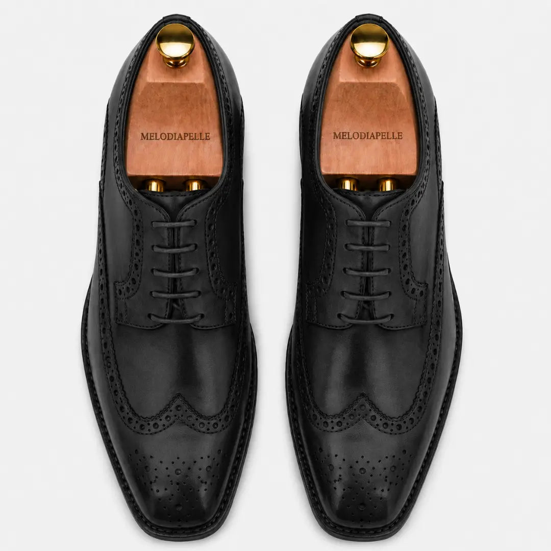Melodiapelle Missourie Longwing Brogue Derby in black leather, pair top-down view, handcrafted in Agra